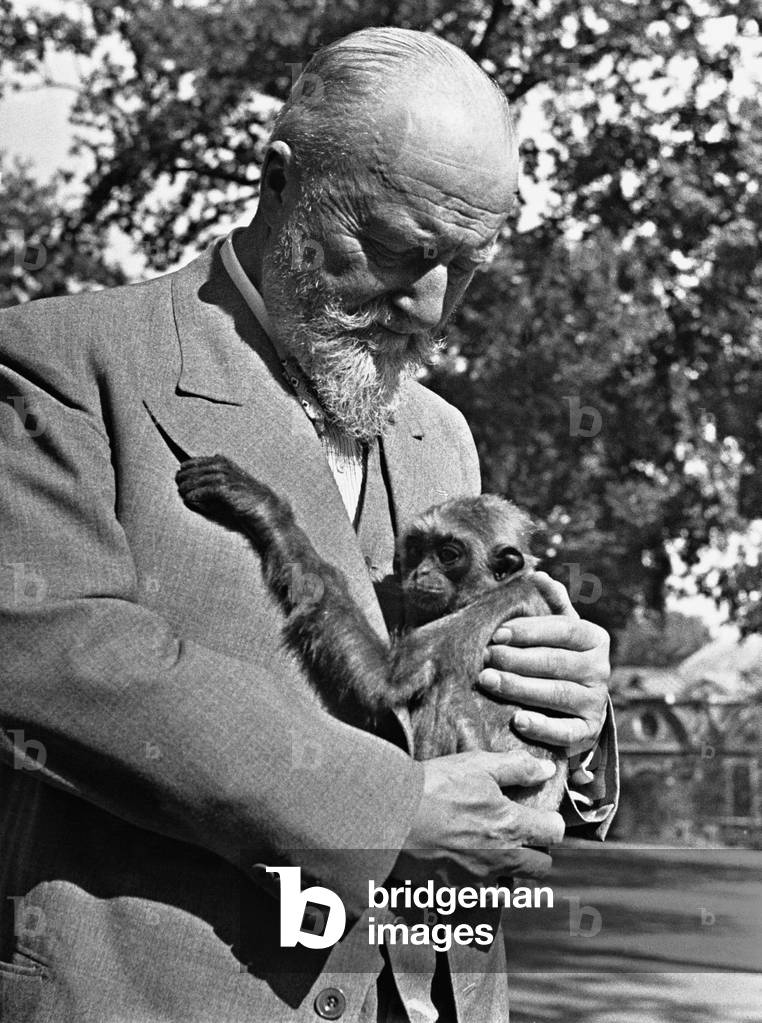 Ludwig Heck with a monkey, 1935 (b/w photo)