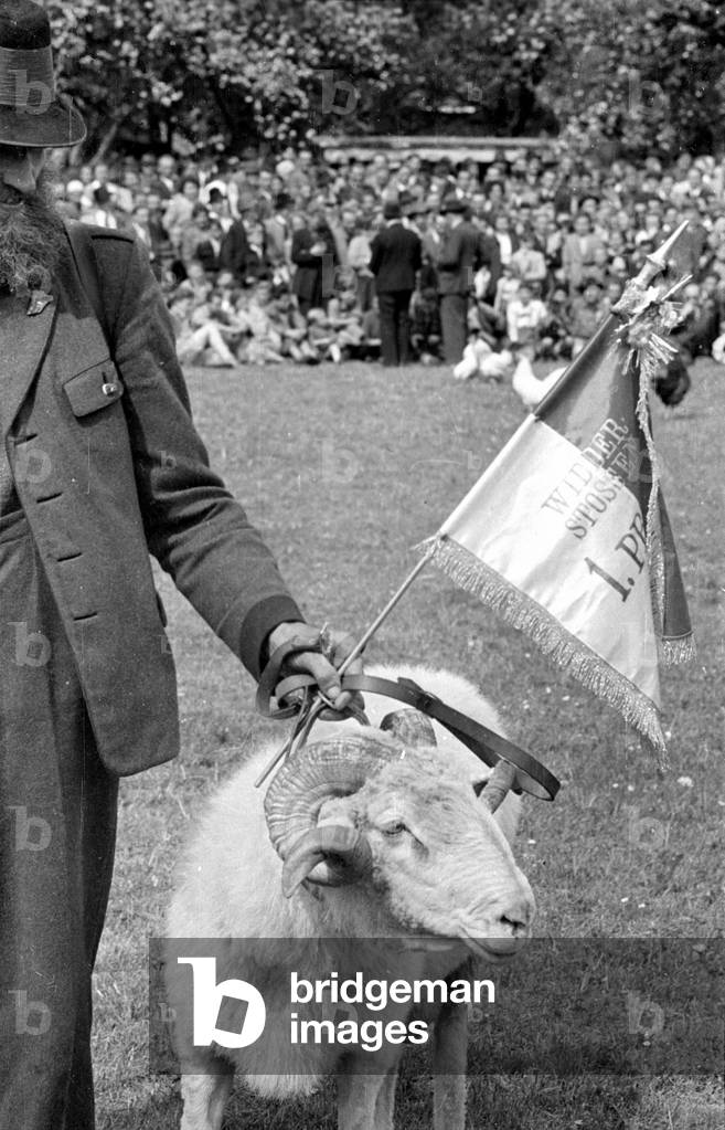 The Gauder Fest in Zell am Ziller, 1952 (b/w photo)