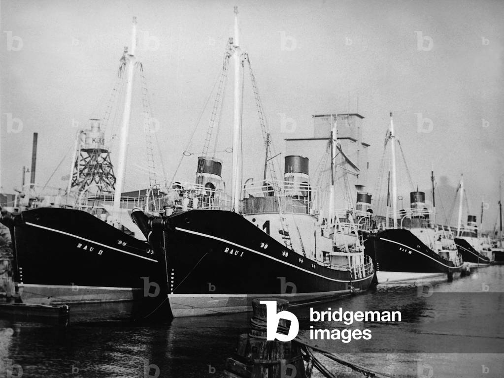 Whaling ships in the harbor, 1938 (b/w photo)