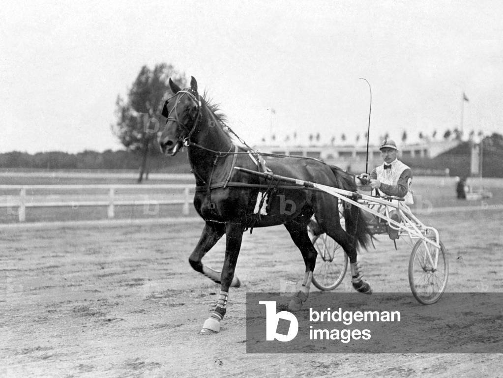 Harness racing in Ruhleben, 1910 (b/w photo)