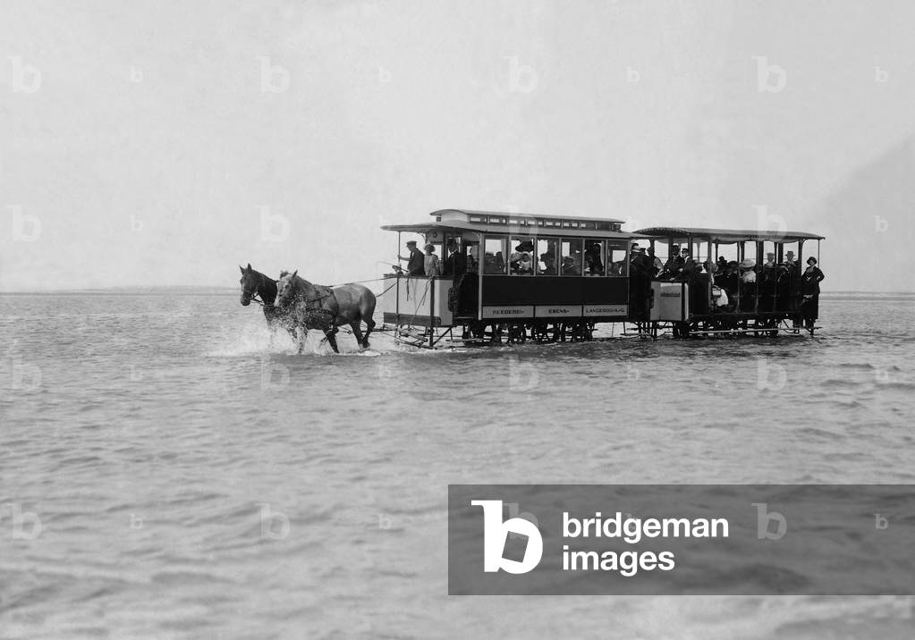Horse track before Langeoog, 1912 (b/w photo)
