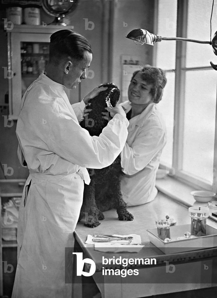 Dog at the dentist (b/w photo)