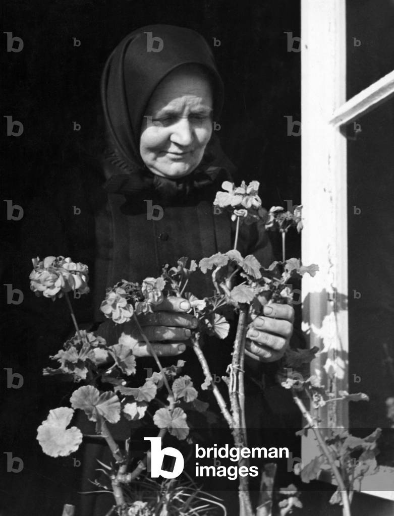 Old woman looks after her flowers