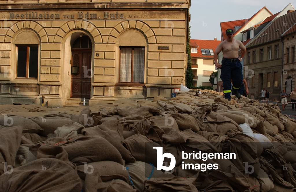 Employee of the Technical Assistance Agency on an emergency dam in Schönebeck (photo)