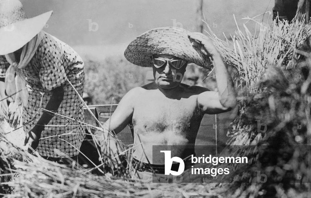 Benito Mussolini during the harvest, June 1935 (b/w photo)