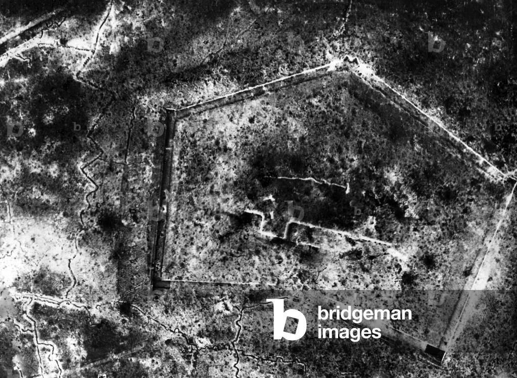 The Battle of Verdun,1916 (b/w photo)