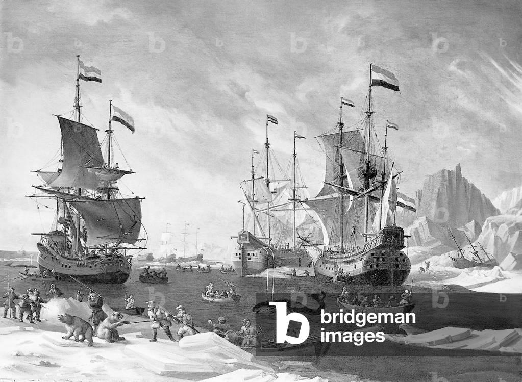 Whaling in the Arctic Ocean (b/w photo)