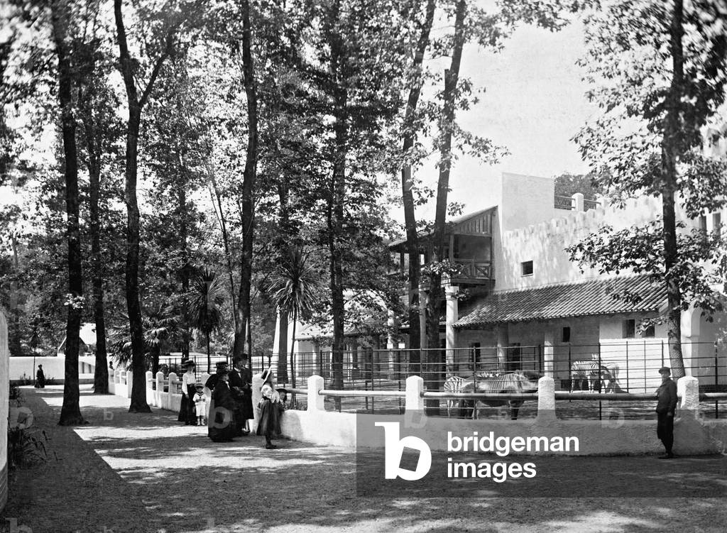 Zebra enclosure in Berlin Zoological Garden (b/w photo)
