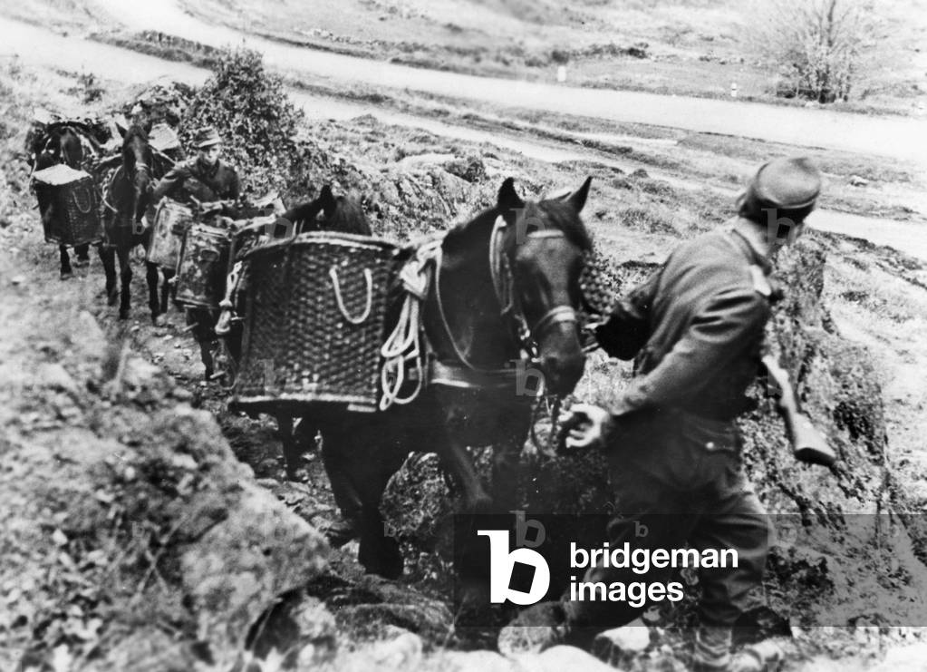 Supply transport of the Wehrmacht on the Western Front, 1944 (b/w photo)
