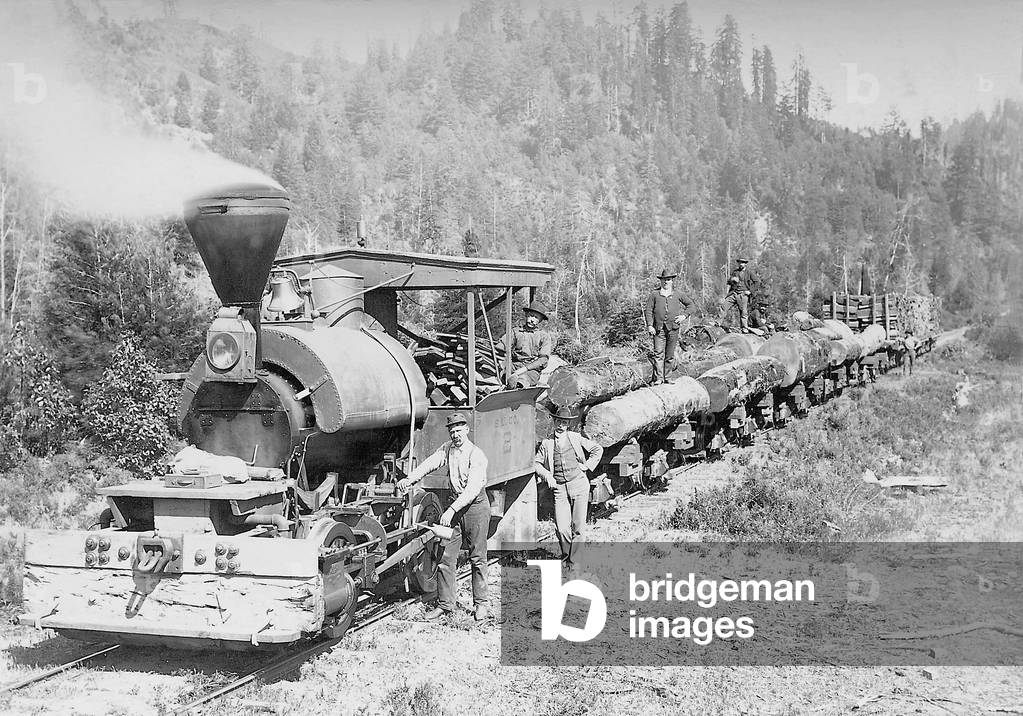 Timber transport by railway in the U.S. (b/w photo)