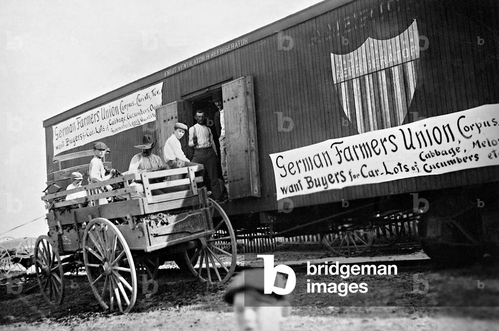German-Americans bring the harvested fruit to a refrigerator of the 'German Farmers Union, Corpus Christi 'in Texas, 1906 (b/w photo)