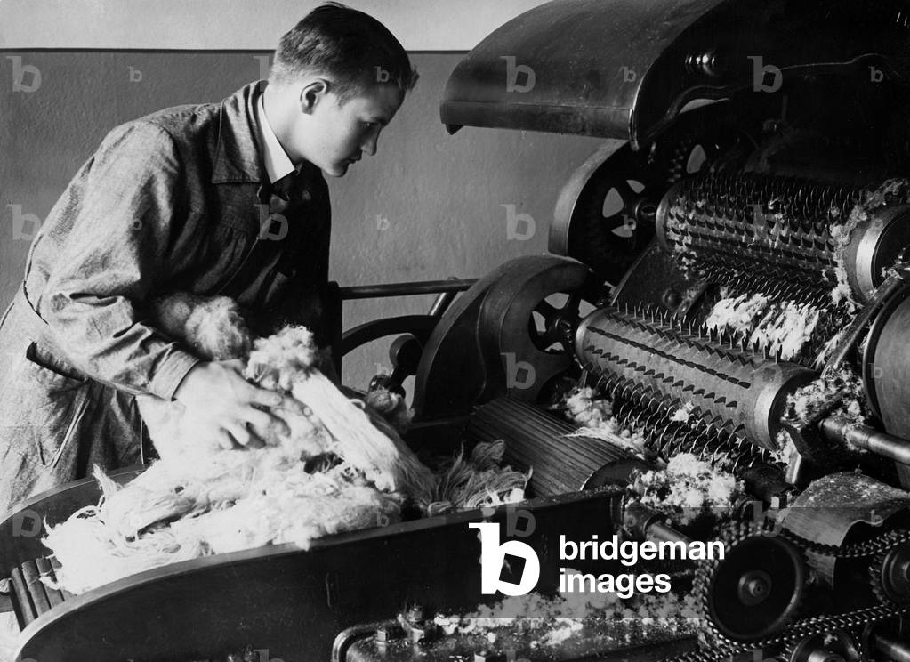 Production of cotton, 1935 (b/w photo)