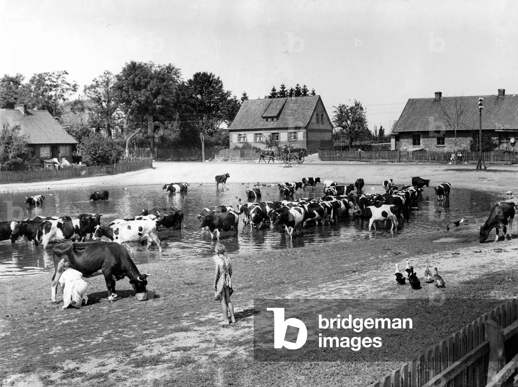 Village pond in Kniprode (b/w photo)