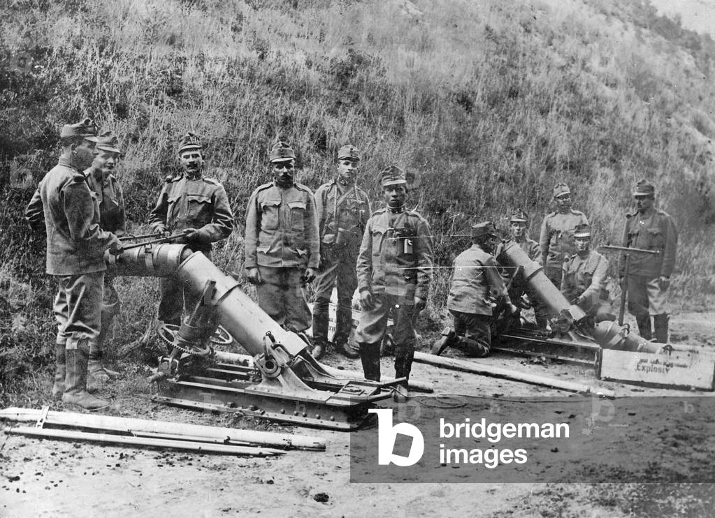Austro-Hungarian mortars at the Italian front, 1916 (b/w photo)