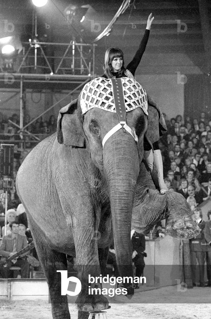 Petra Schürmann in the show 