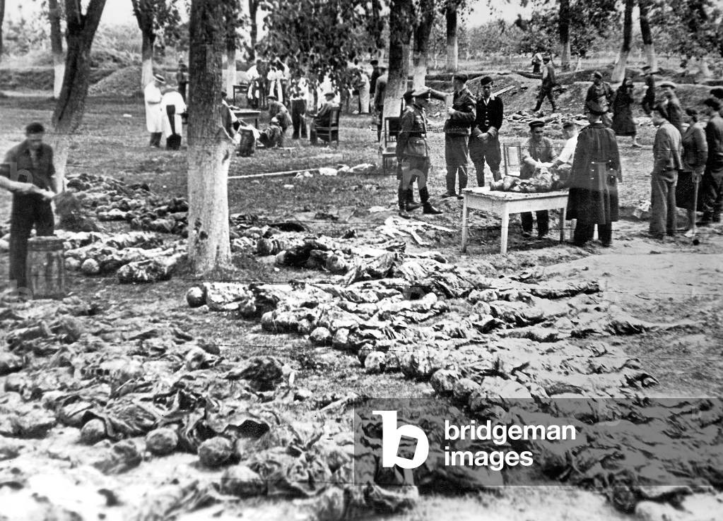 Opened mass graves in Vinnytsia (b/w photo)