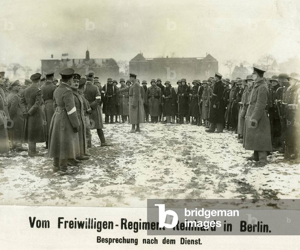 Freikorps Reinhard, 1919
