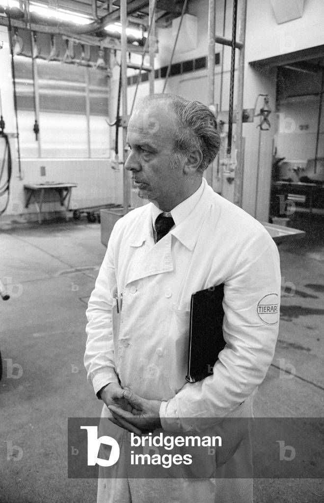 Slaughterhouse in Munich, 1974 (b/w photo)