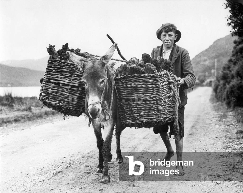 Irish farm boy, 1938 (b/w photo)