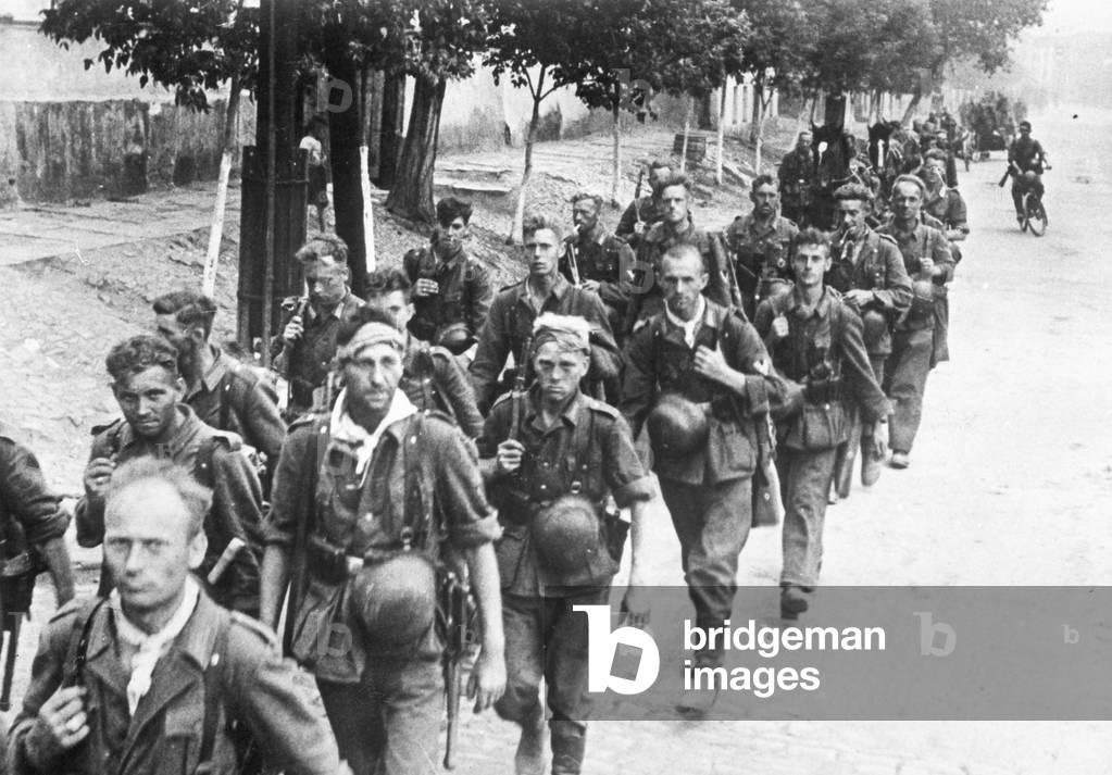 German advance in the southern sector of the Eastern Front, 1942 (b/w photo)