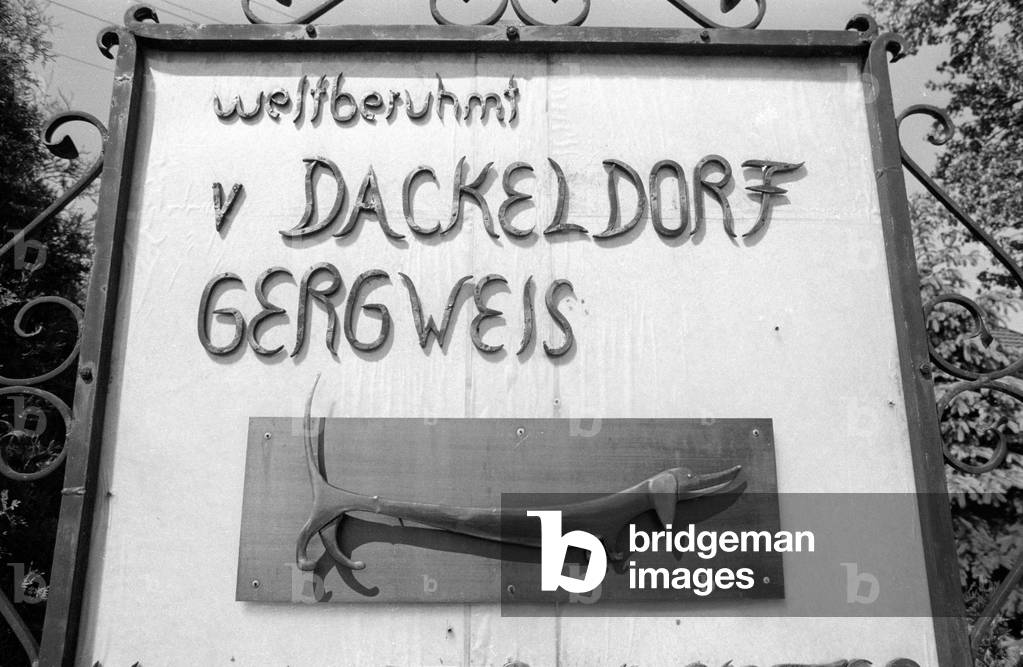 Dackeldorf Gergweis, 1974 (b/w photo)