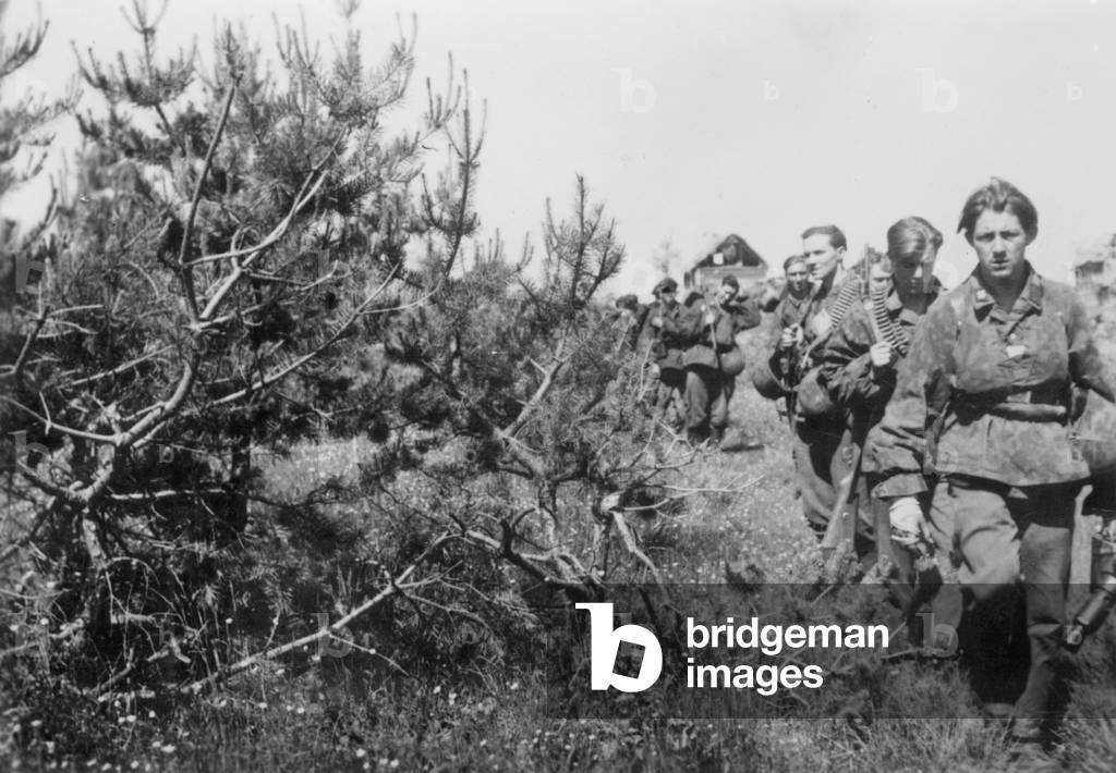 Flemish soldiers of the Waffen-SS on the Eastern Front, 1942 (b/w photo)
