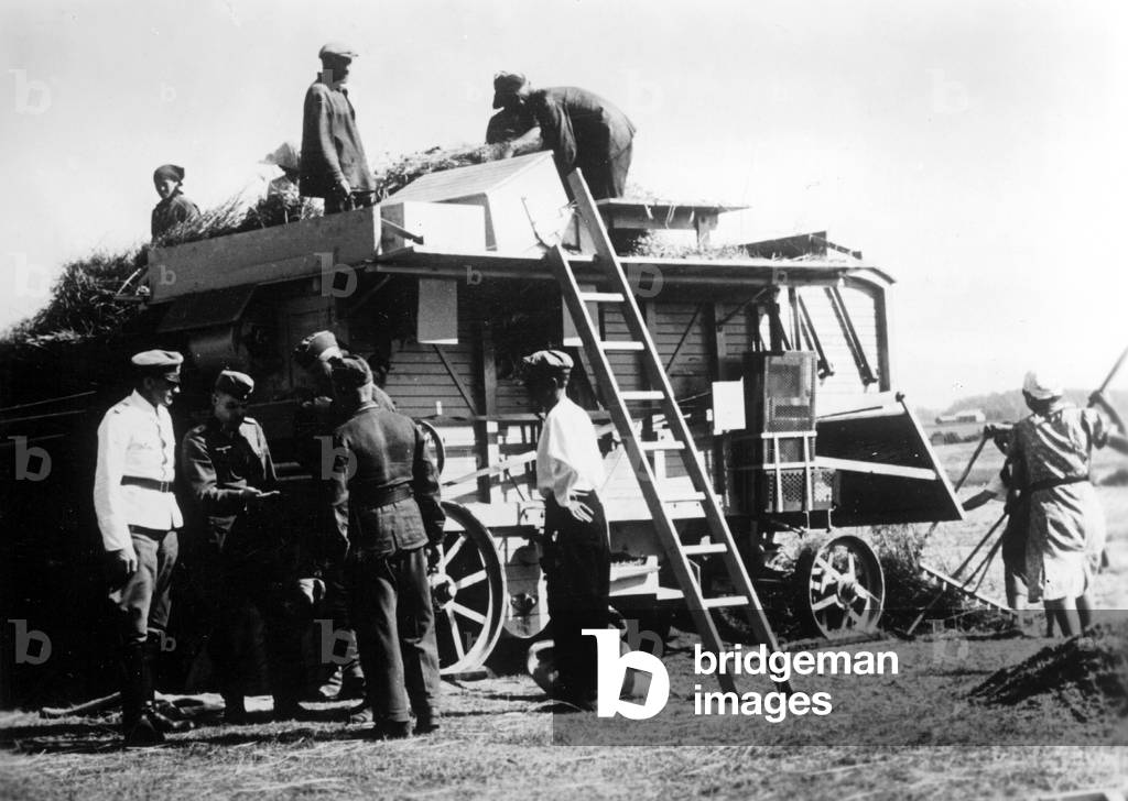 German soldiers during the grain harvest in Russia, 1942 (b/w photo)