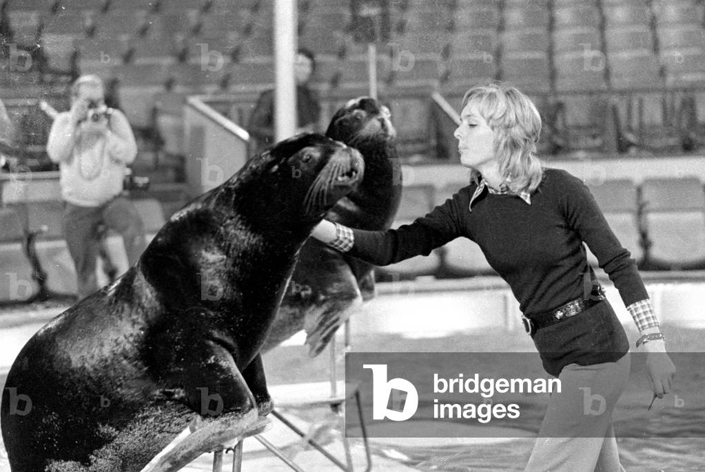 Stars in der Manege, 1971 (b/w photo)