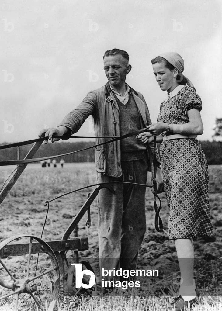 BDM (League of German Girls) girl in agriculture, 1943