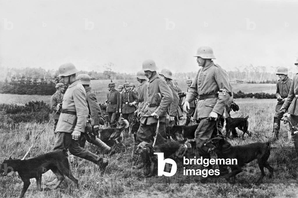 German dog handlers in war service, 1917 (b/w photo)