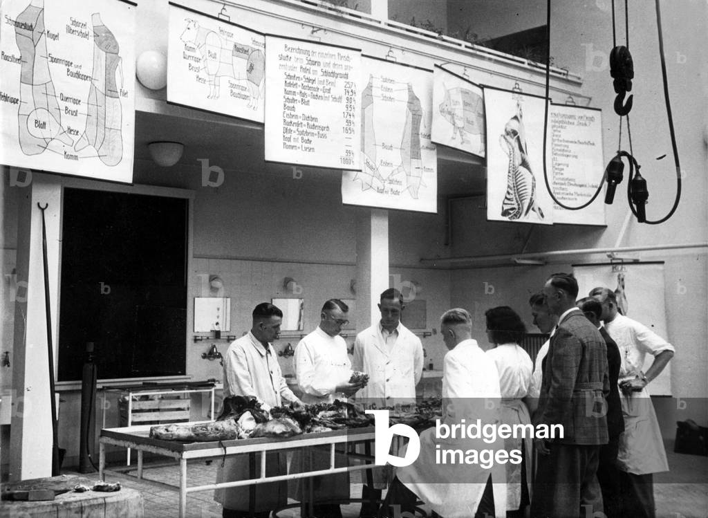 Veterinary students study animal pieces, 1940 (b/w photo)