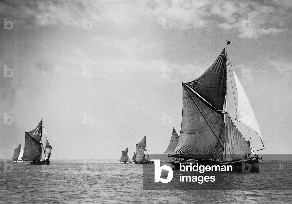 Sailing Regatta, 1930 (b/w photo)