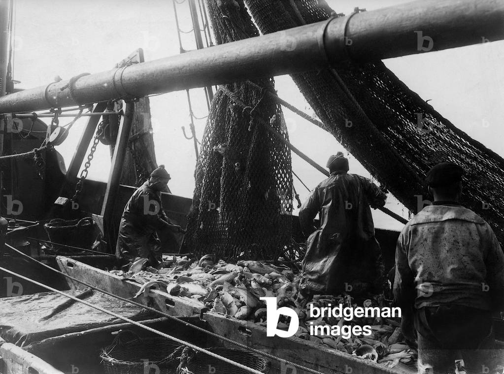 Fishermen take in their catch (b/w photo)