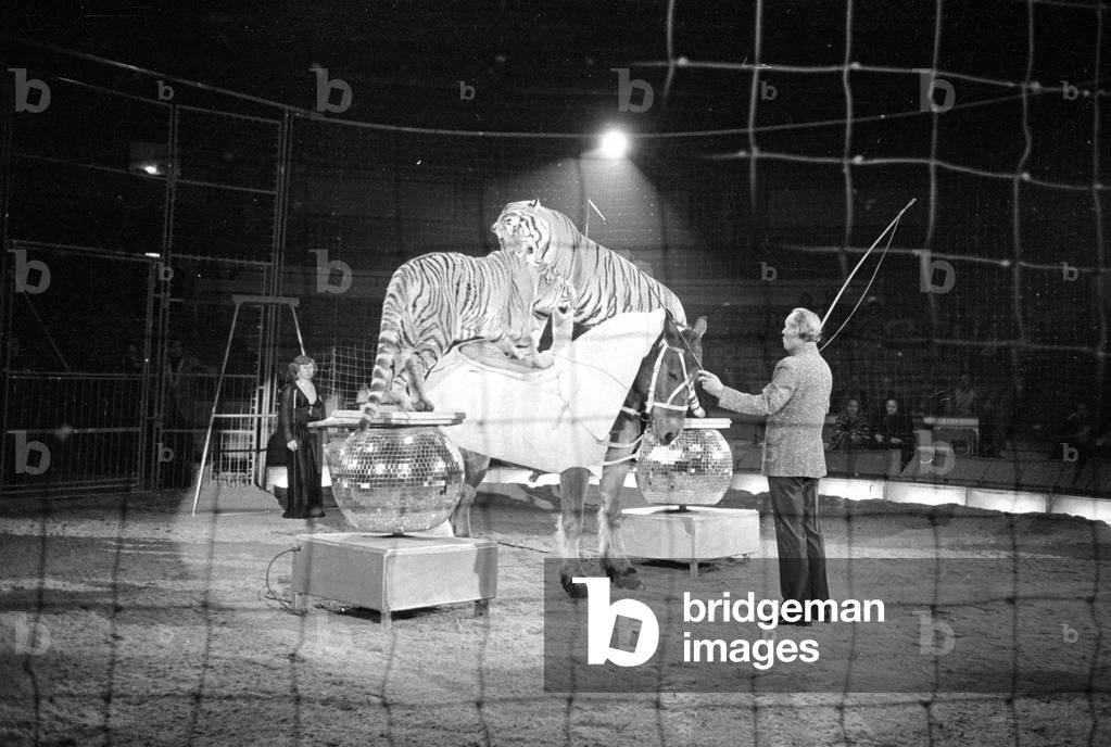 Program at the Circus Krone in Munich, 1978 (b/w photo)