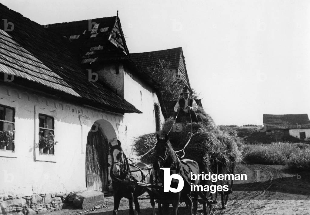Farmer in a village in the Spis, 1939