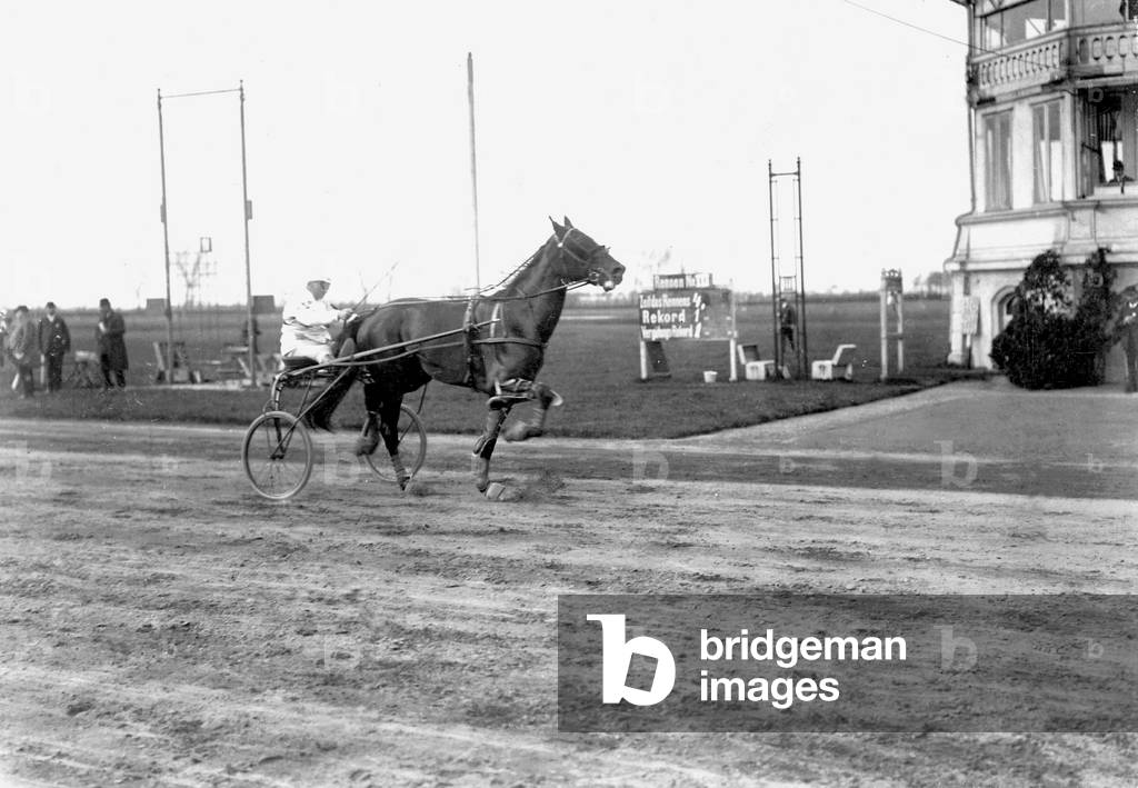 Equestrian sport (b/w photo)
