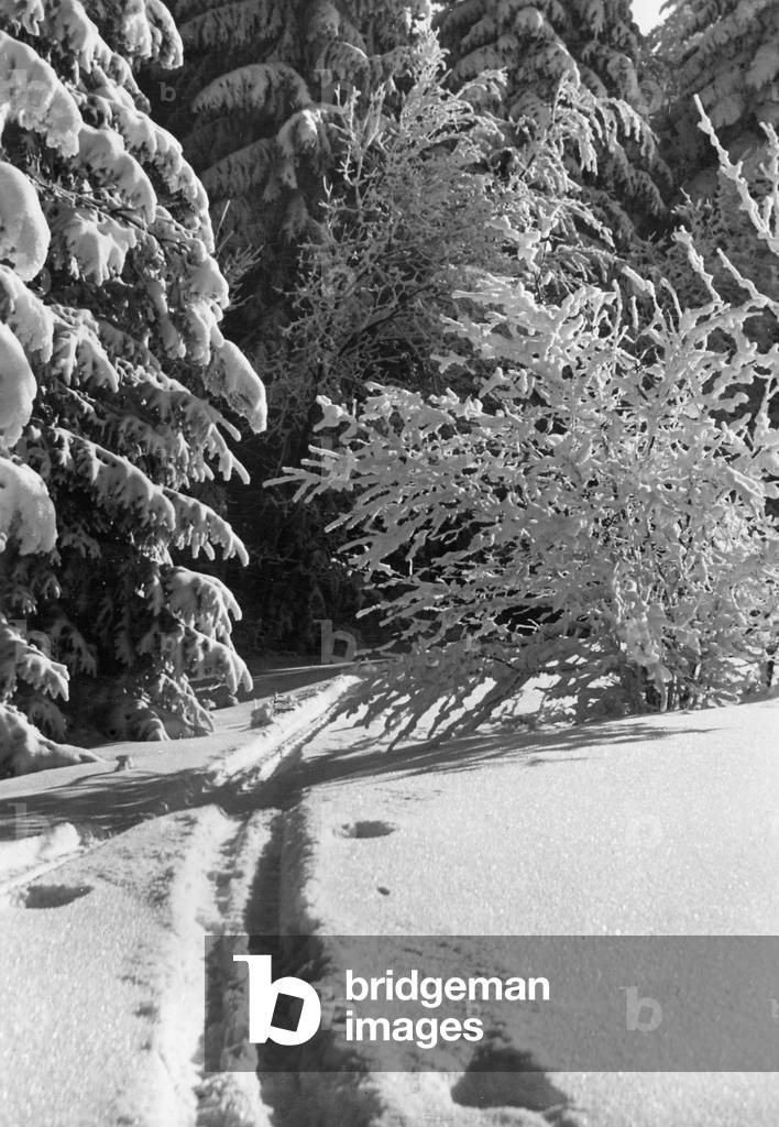 Winter landscape, 1929 (b/w photo)