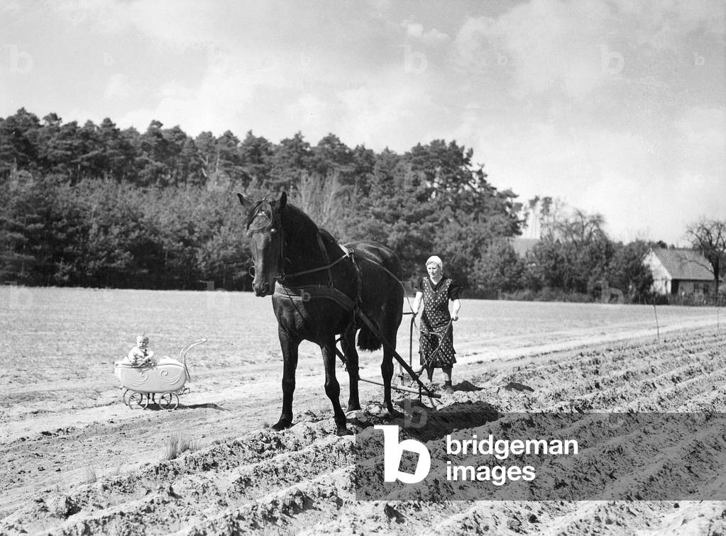 Woman plowing, 1940 (b/w photo)
