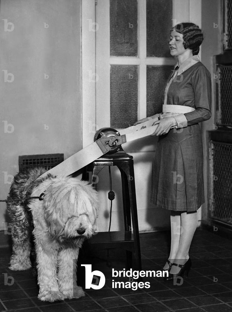 Woman and dog at a massaging device, 1929 (b/w photo)