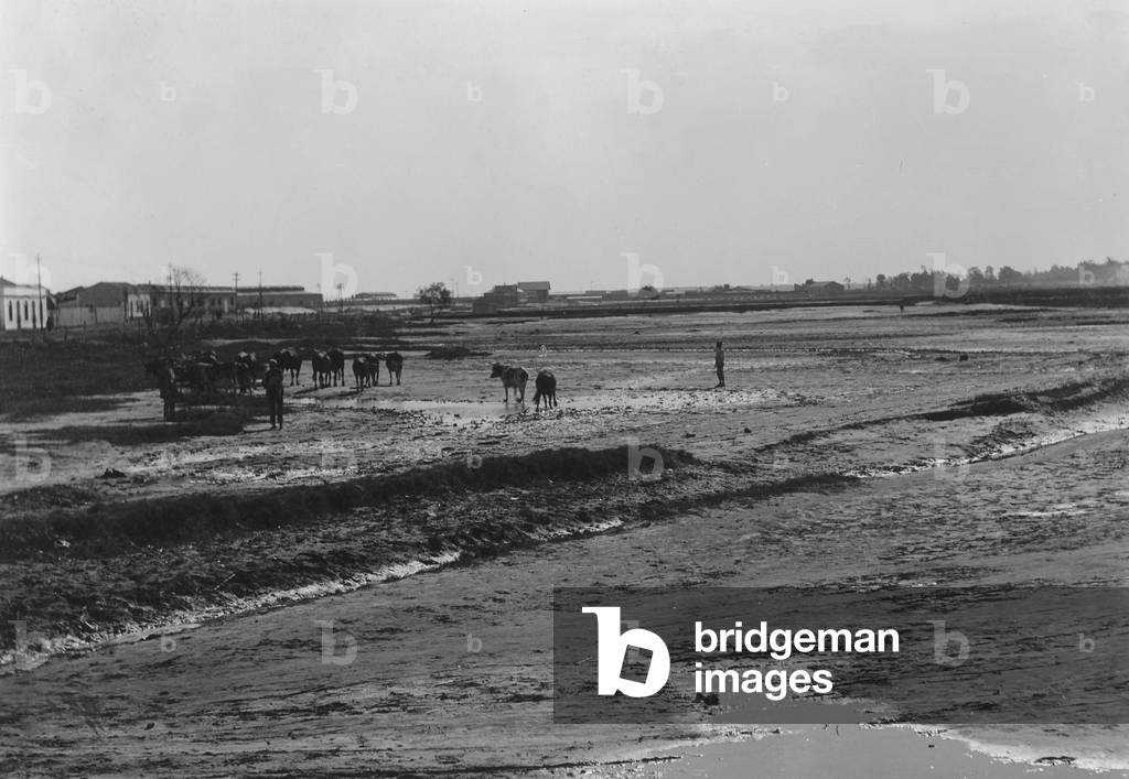Lourenco Marques in Mozambique, around 1900