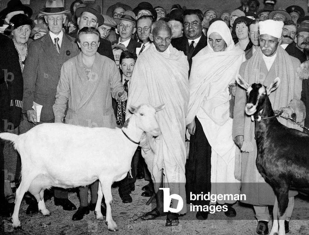 Mahatma Gandhi at a livestock exhibition in London, 1931 (b/w photo)