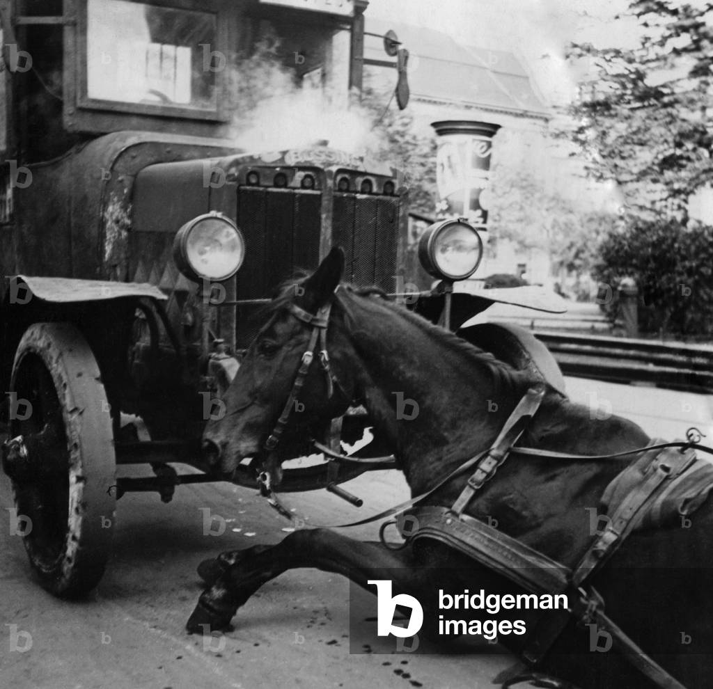 Traffic accident between a horse and truck, 1934 (b/w photo)