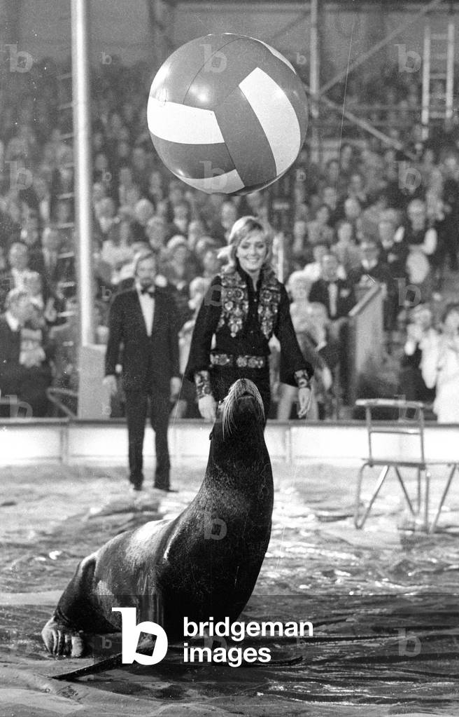 Stars in der Manege, 1971 (b/w photo)