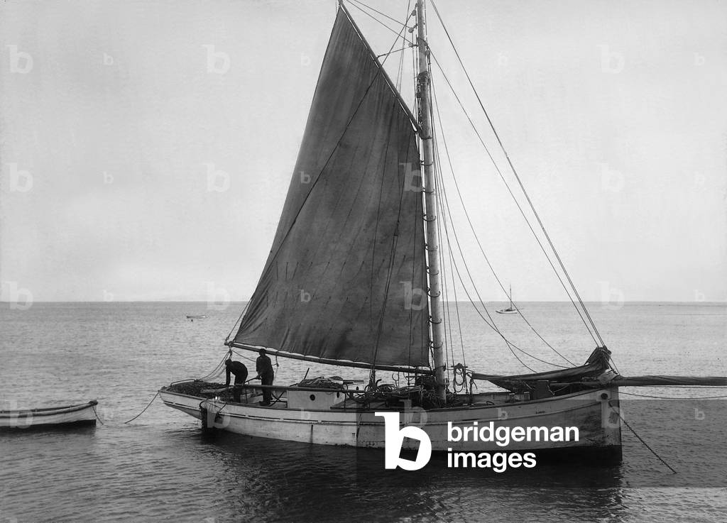 Oyster boats off Sylt, 1911 (b/w photo)
