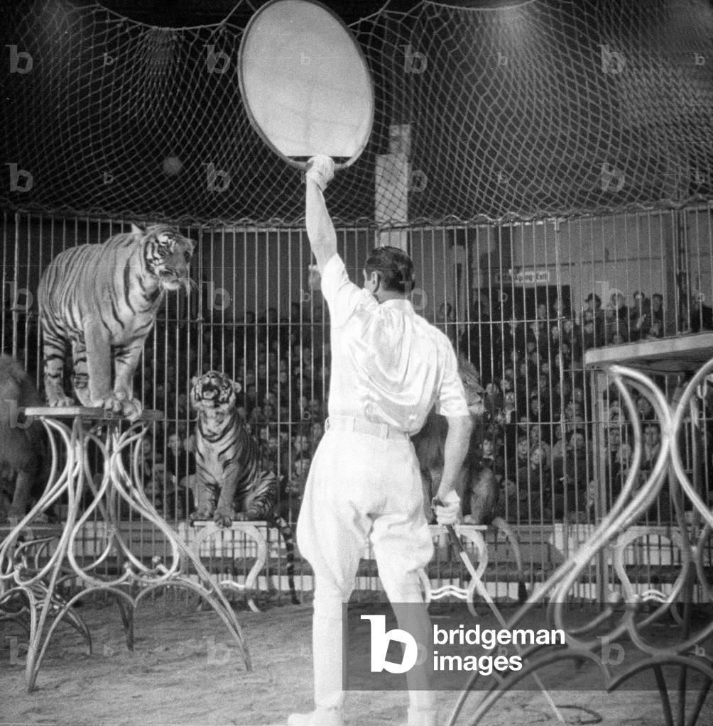Circus program with predators, 1954 (b/w photo)