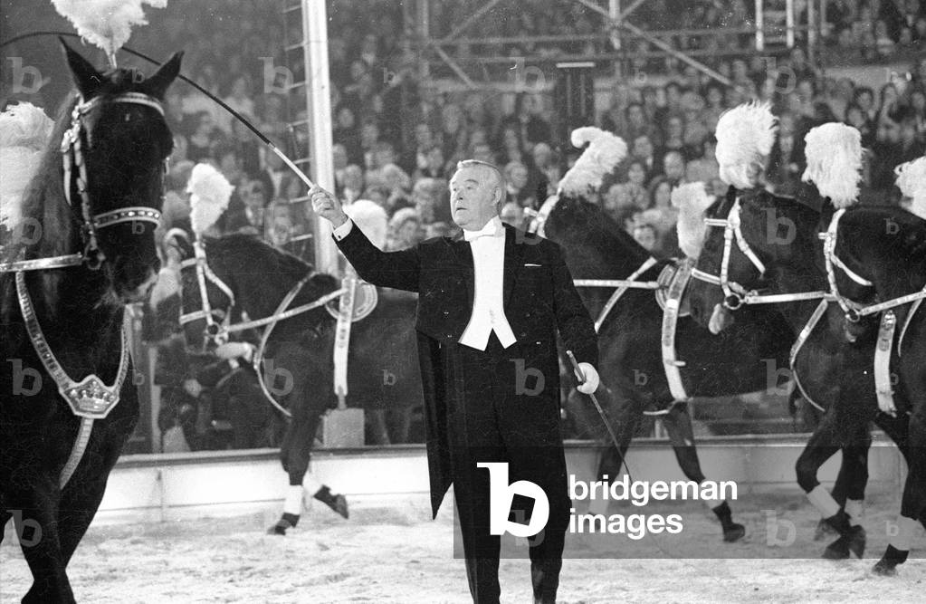 Horses in the show Stars in der Manege, 1971 (b/w photo)