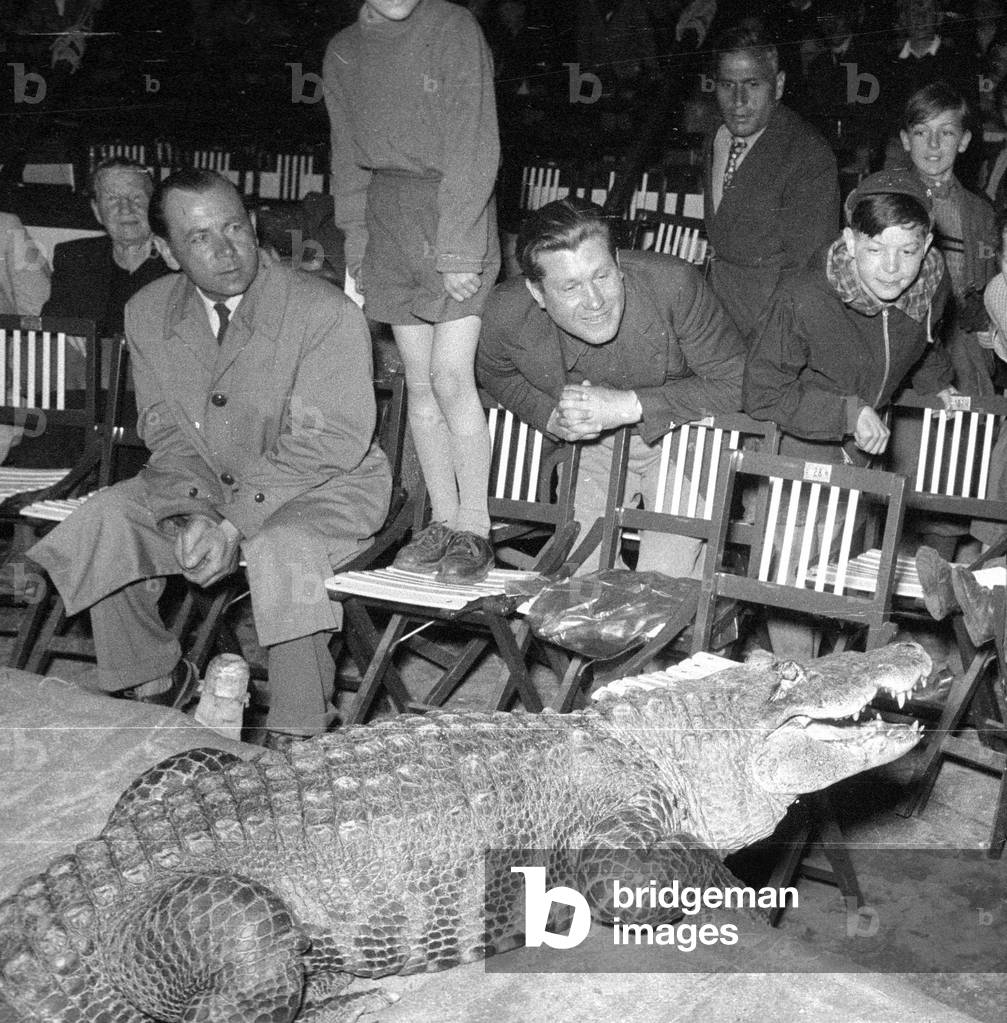 Circus program with crocodiles, 1954 (b/w photo)