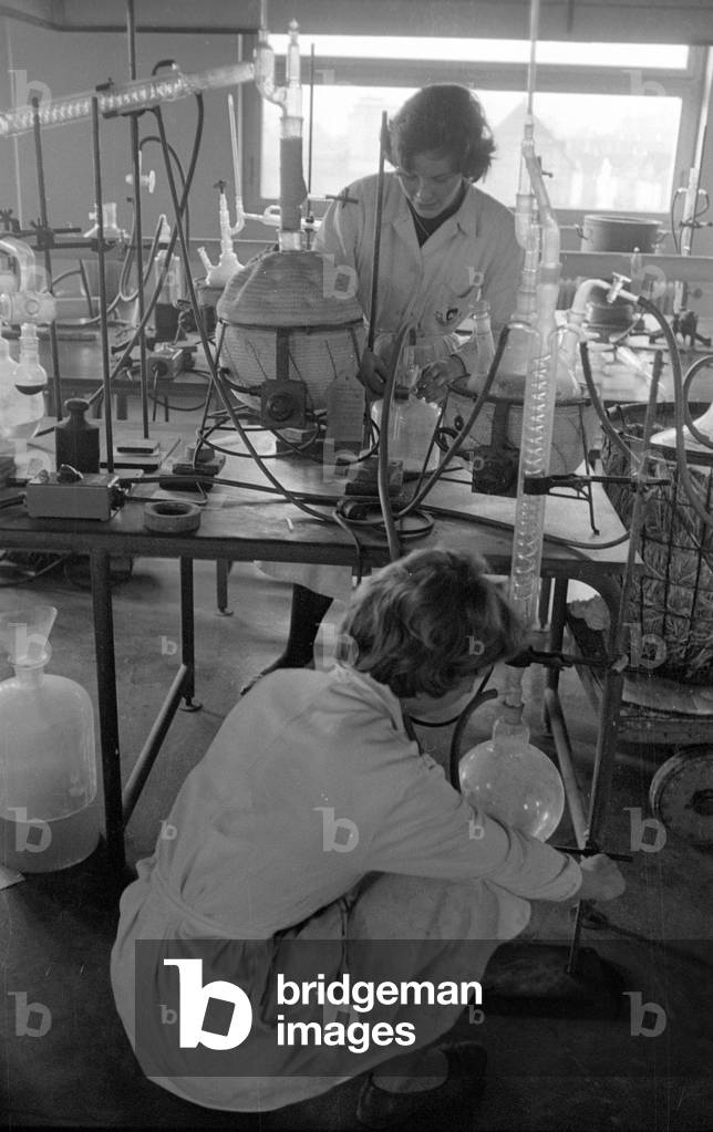 Vaccine development, 1960 (b/w photo)