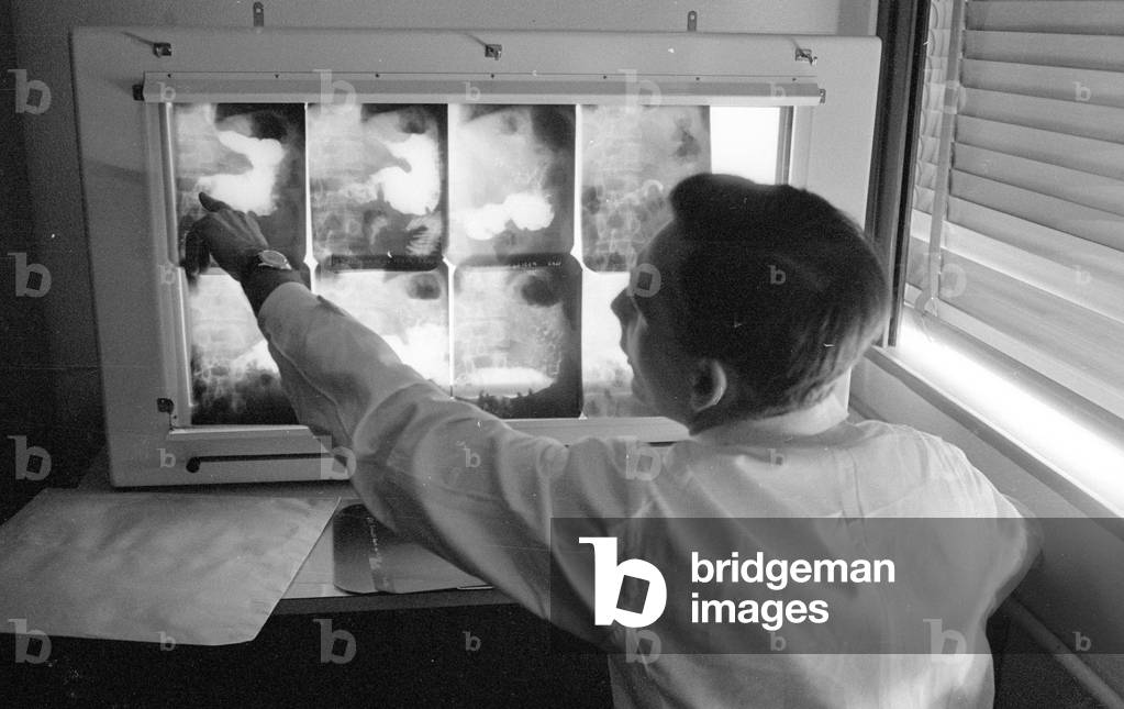Breads compared in the physiology of nutrition at the Max Planck Institute in Dortmund, 1960 (b/w photo)