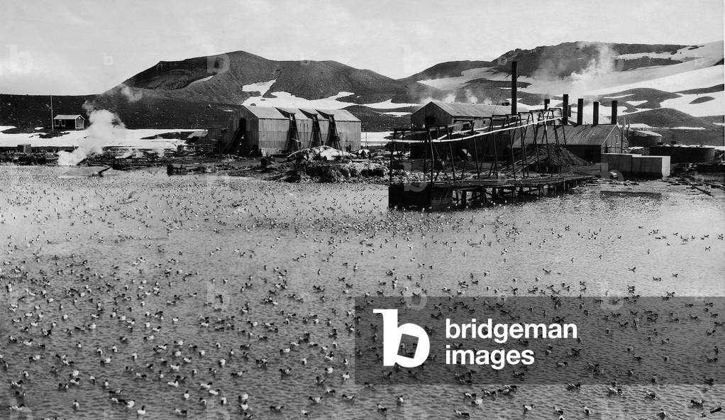 Port and whaling station on the Deception Island, 1929 (b/w photo)